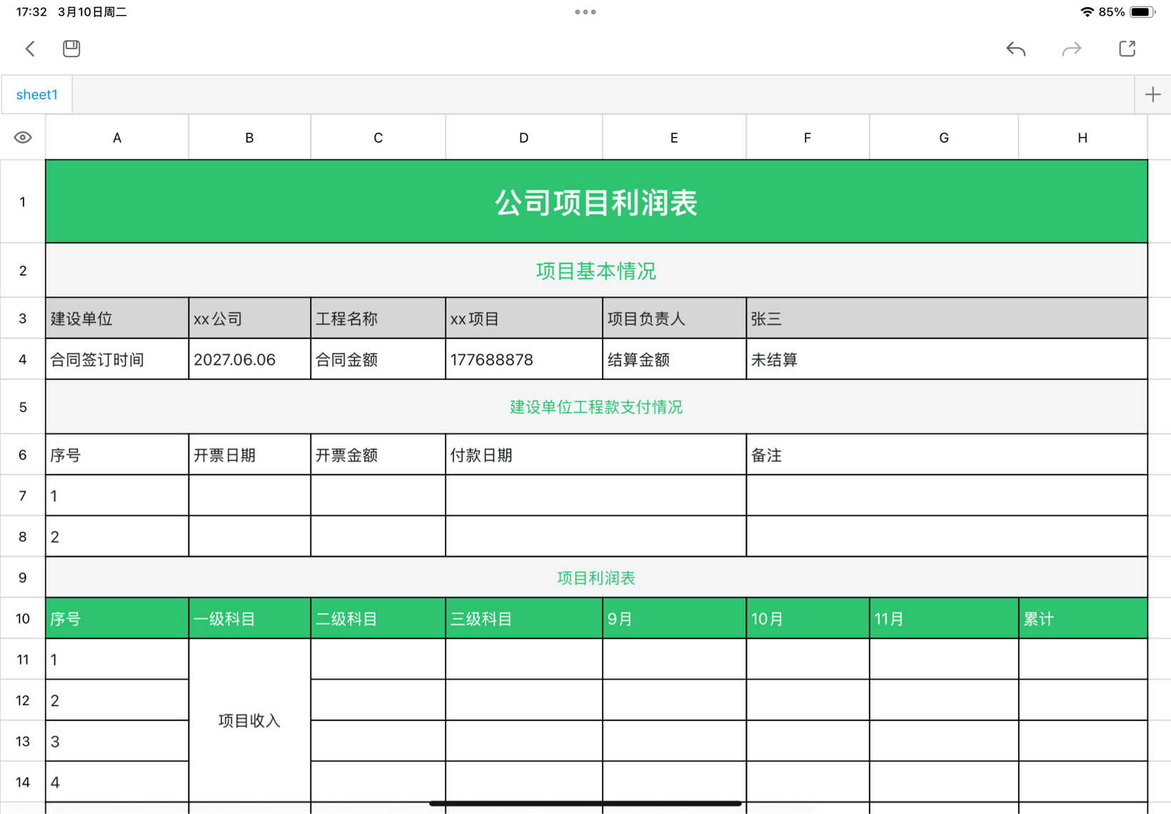 公司项目利润表