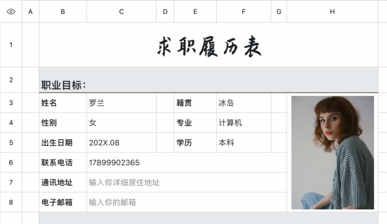 求职履历表