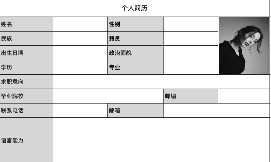 简约简历