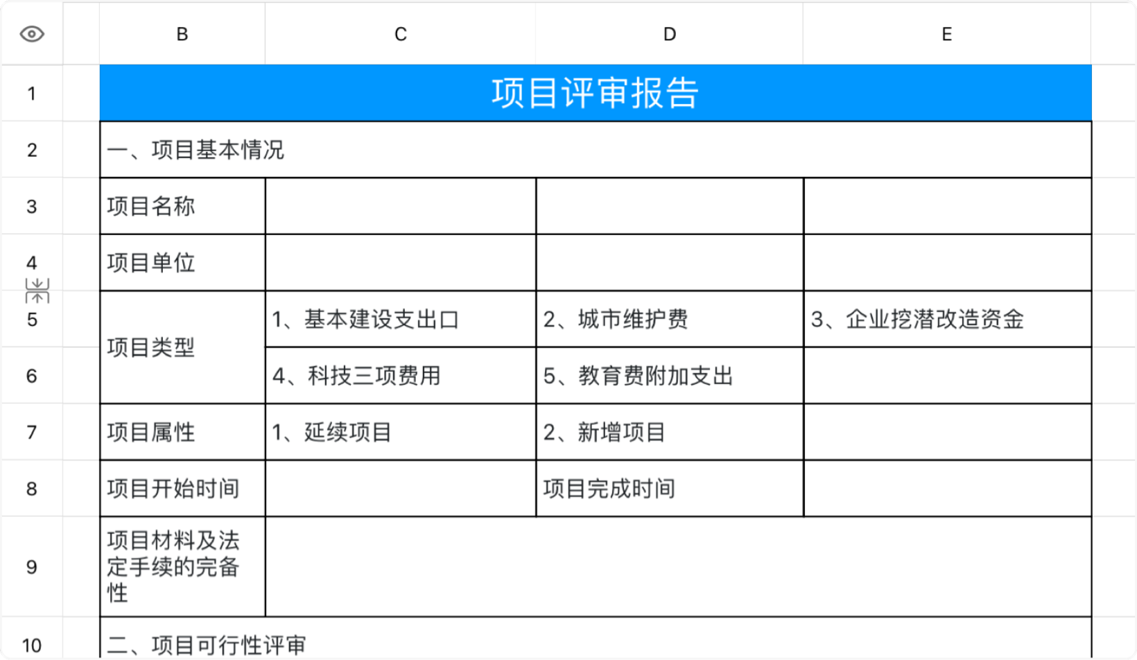 项目评审报告