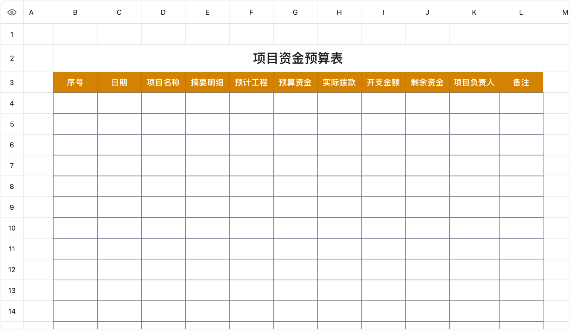 项目资金预算表