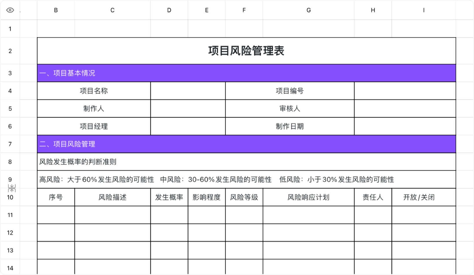 项目风险管理表